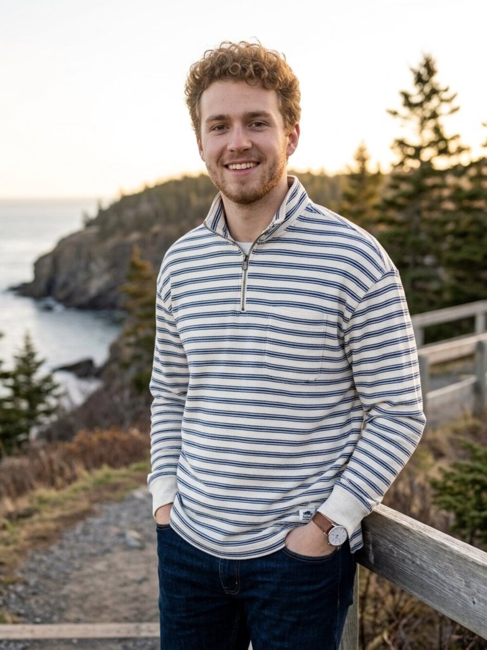 NWT Roots Men's Oceana Strip Quarter-Zip Striped Pullover Size L Organic Cotton